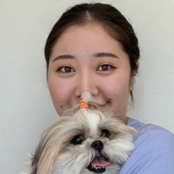 トリマーの写真