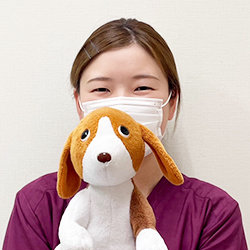 トリマーの写真